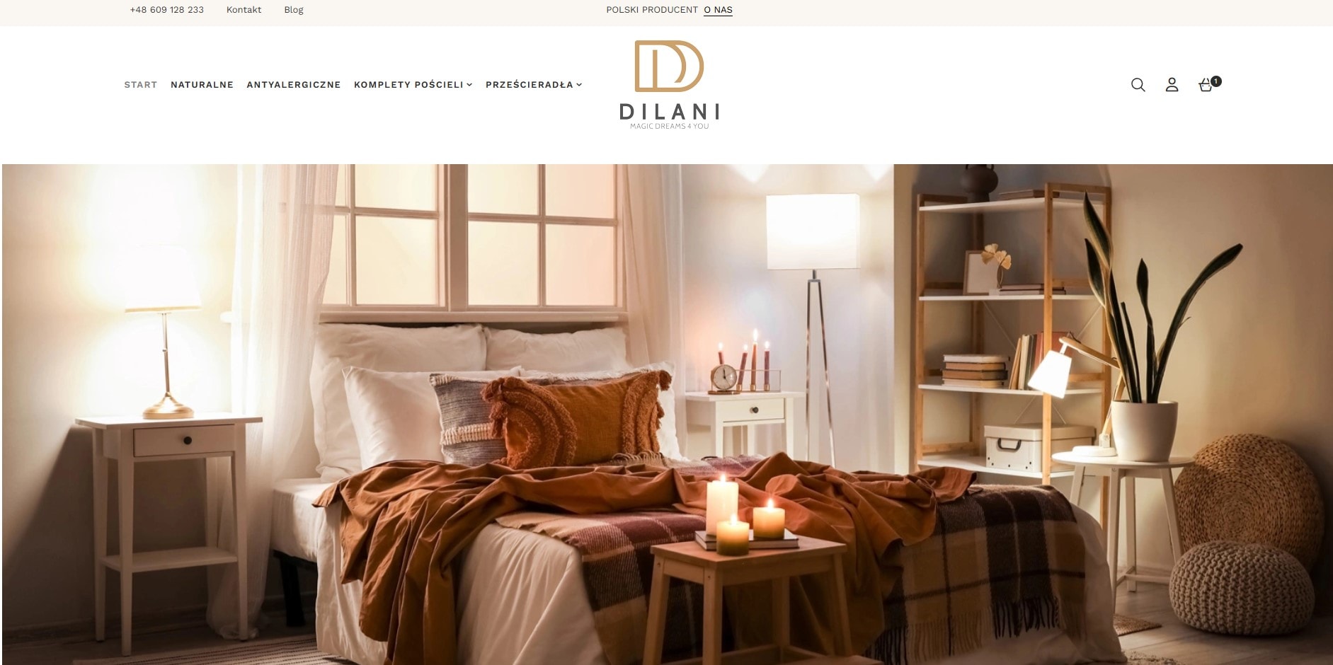 Dilani.pl - Optymalizacja SEO, zmiana struktury i poprawa UX
